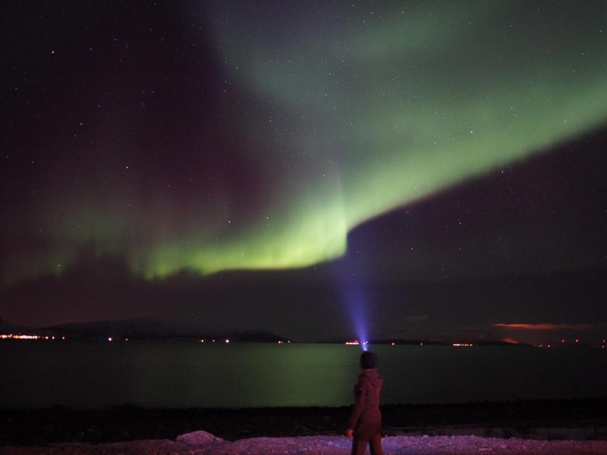 Lodge Lyngen Experience Nord-Lenangen
